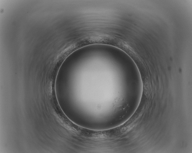 X0000074340454200609011632