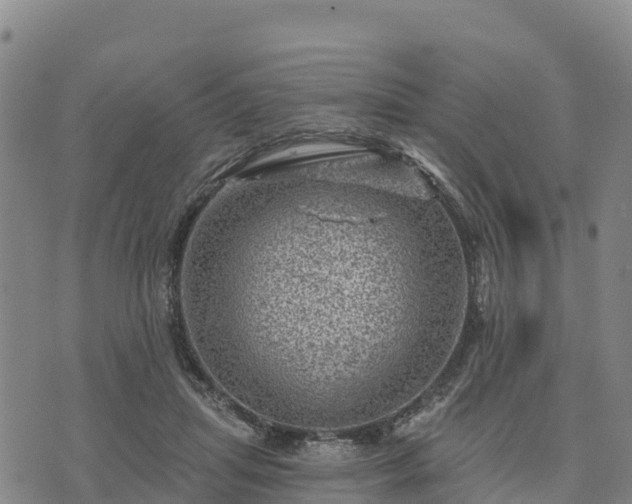 X0000074340455200609011632