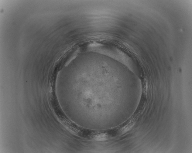 X0000074340456200609011632