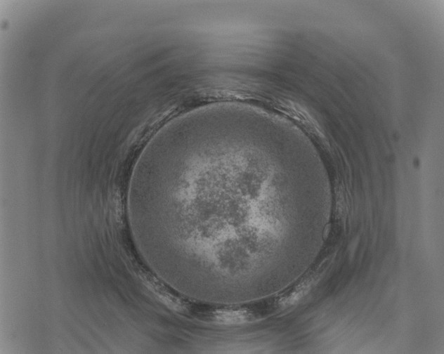 X0000074340457200609011632