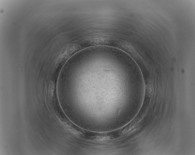 X0000074340458200609011632