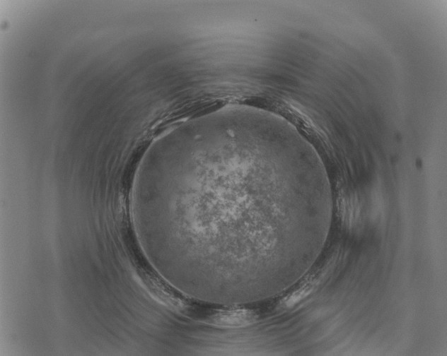 X0000074340459200609011632