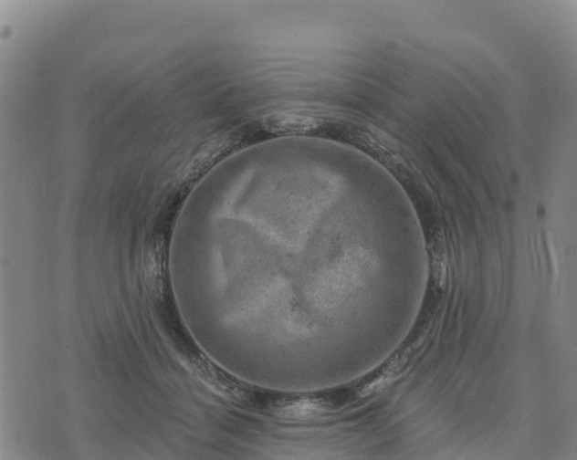 X0000074340460200609011632