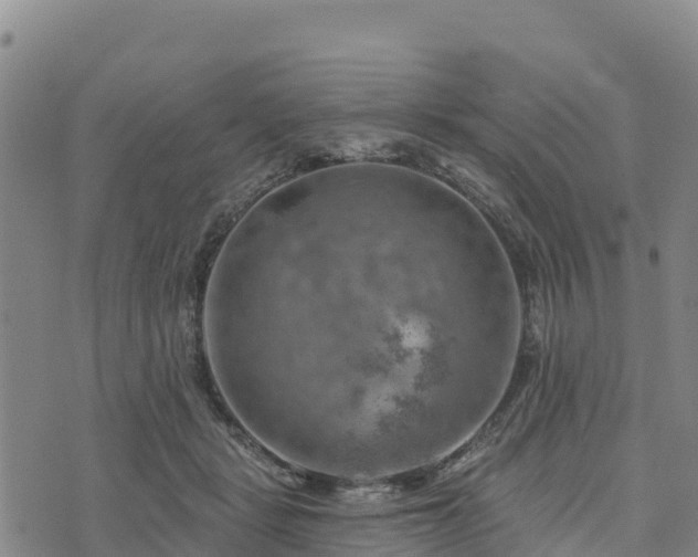 X0000074340461200609011632