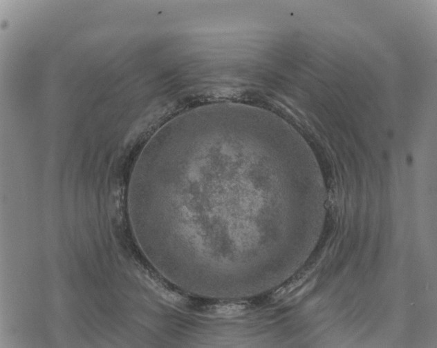 X0000074340462200609011632