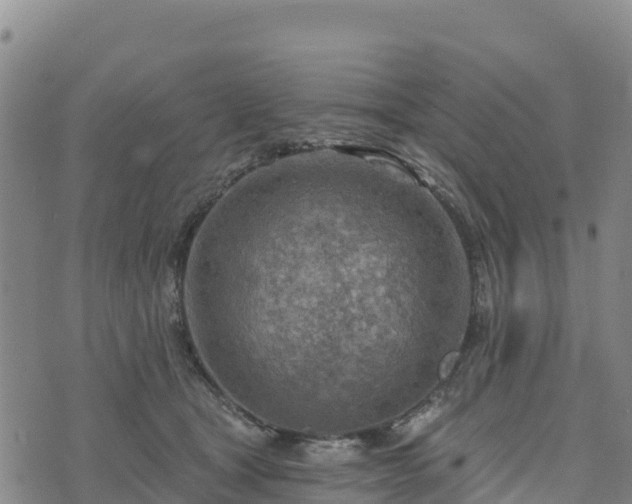 X0000074340465200609011632