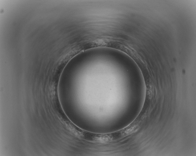 X0000074340466200609011632