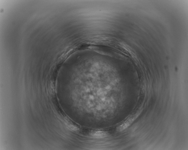 X0000074340467200609011632