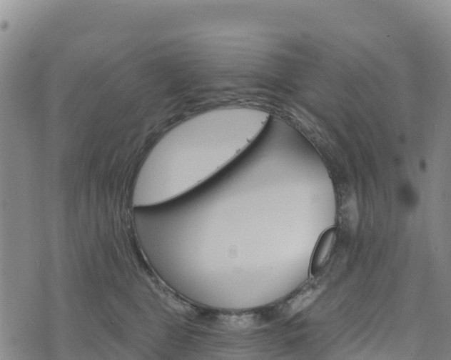 X0000074340469200609011632