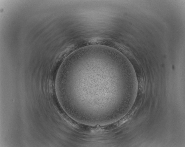 X0000074340470200609011632