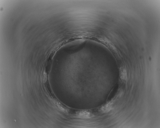 X0000074340471200609011632