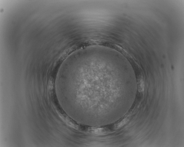 X0000074340472200609011632