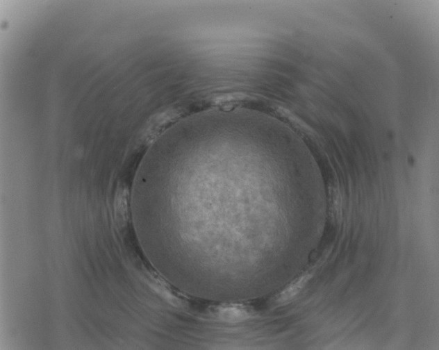 X0000074340475200609011632