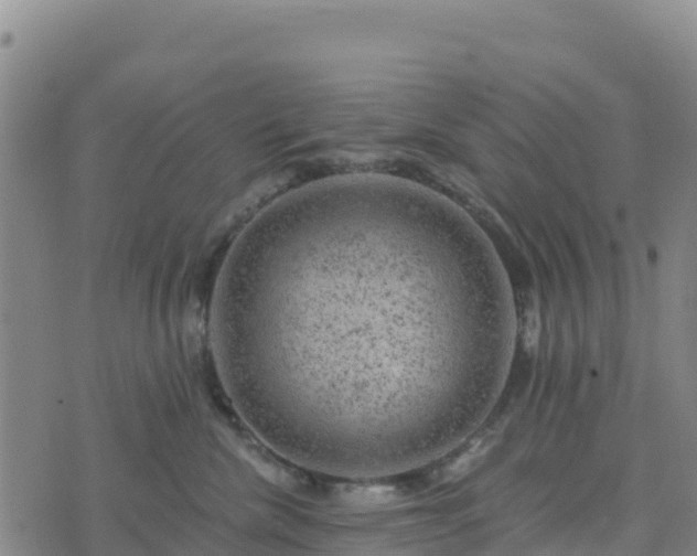 X0000074340476200609011632