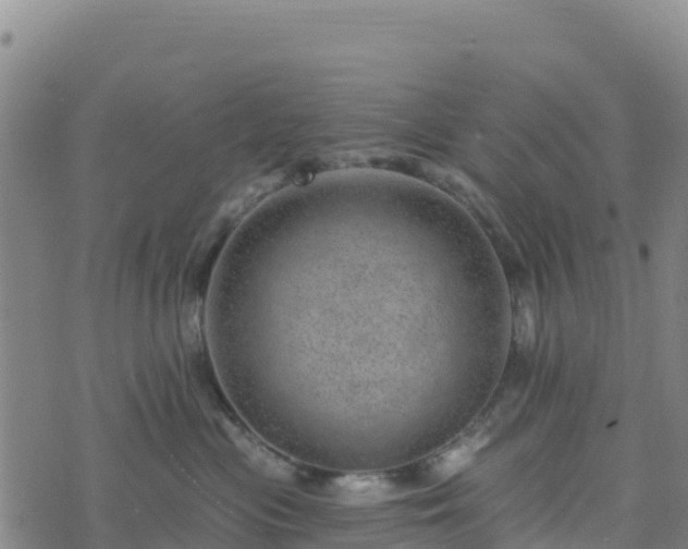 X0000074340477200609011632