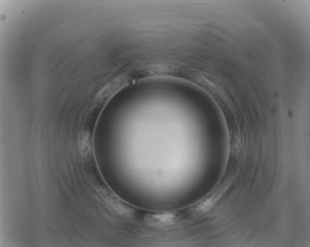 X0000074340478200609011632