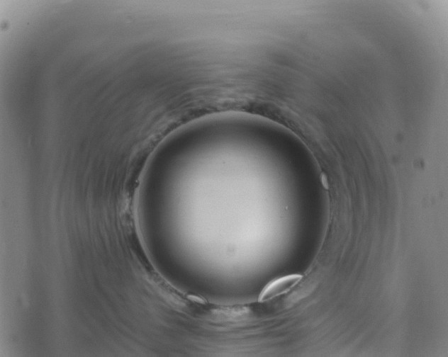 X0000074340480200609011632