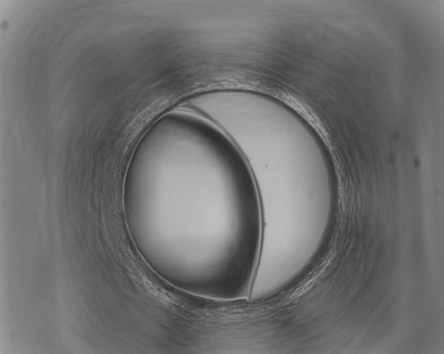 X0000074340481200609011632