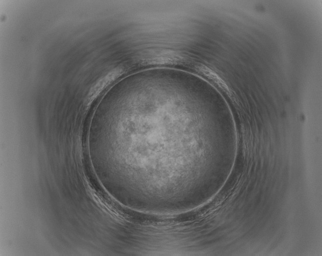 X0000074340482200609011632