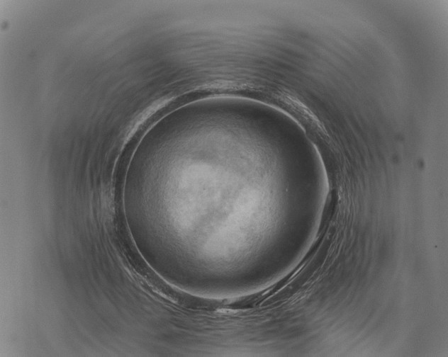 X0000074340484200609011632