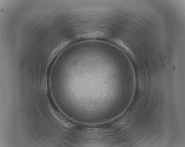 X0000074340486200609011632