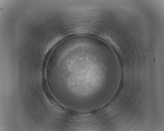 X0000074340488200609011632