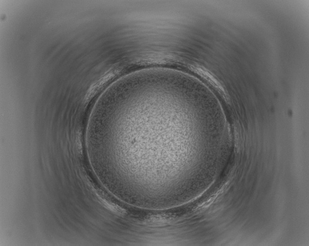 X0000074340489200609011632