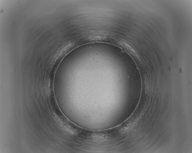 X0000074340490200609011632