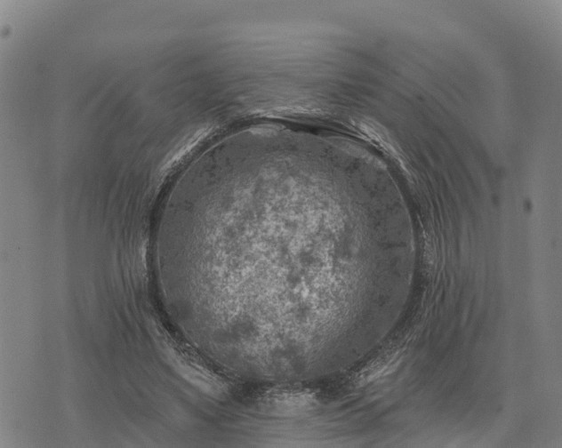 X0000074340491200609011632