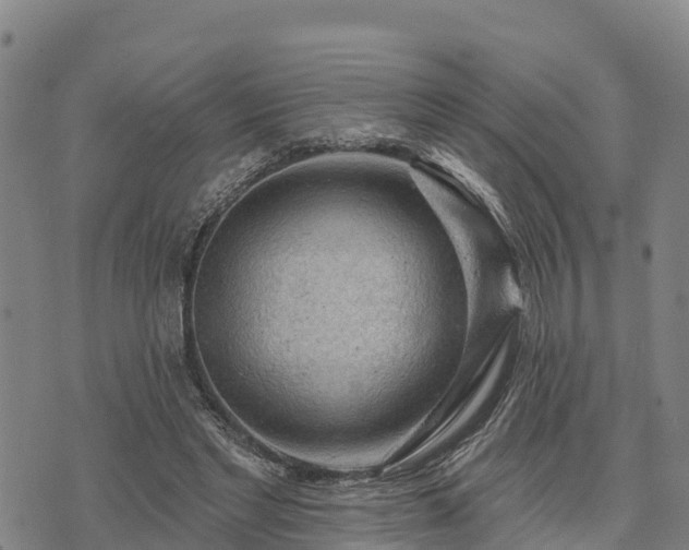 X0000074340493200609011632