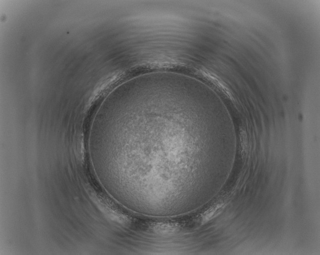 X0000074340494200609011631