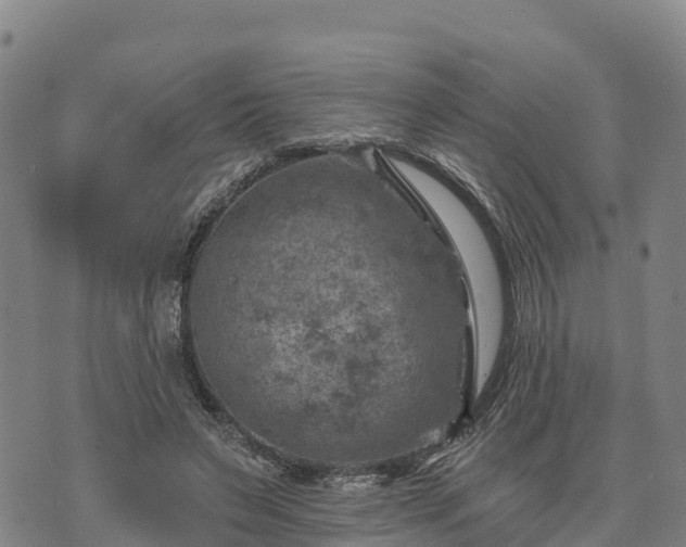 X0000074340495200609011631