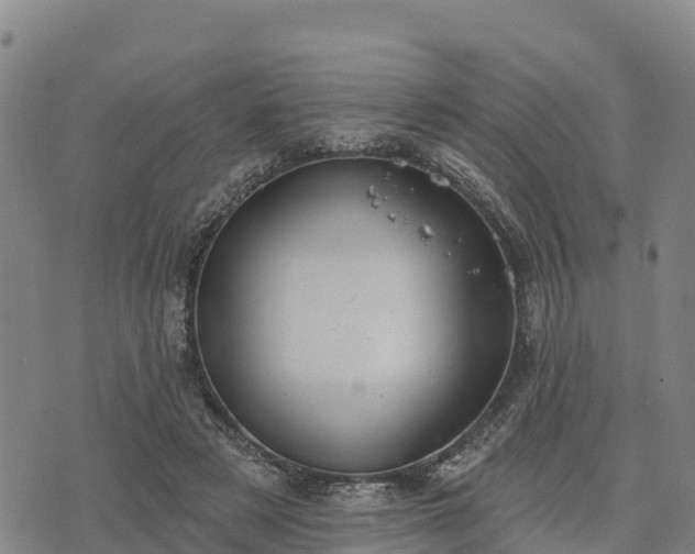 X0000074340497200609011631