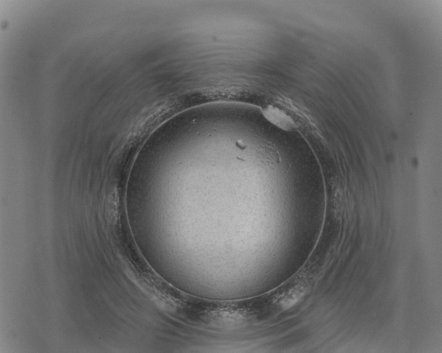 X0000074340498200609011631