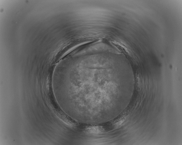 X0000074340499200609011631