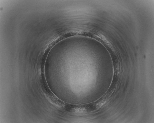 X0000074340500200609011631