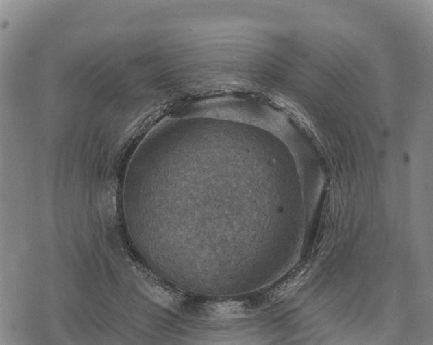 X0000074340501200609011631