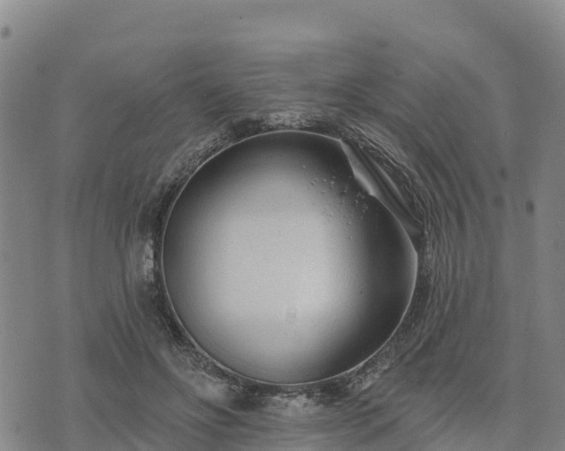 X0000074340502200609011631