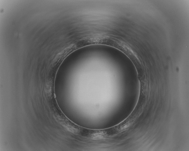 X0000074340505200609011631