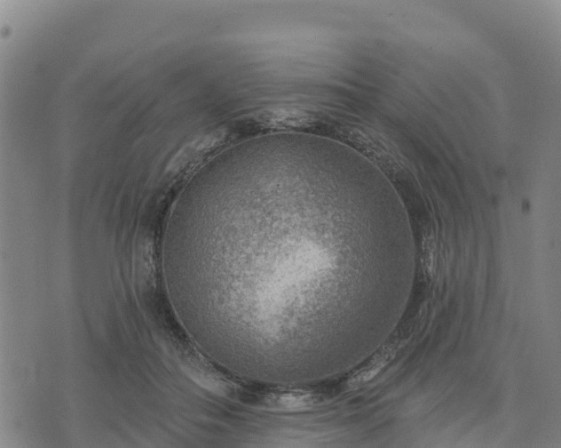 X0000074340506200609011631