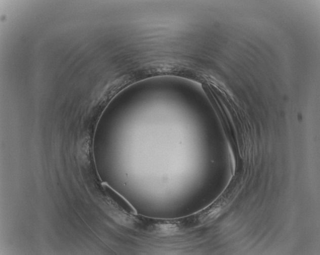 X0000074340509200609011631