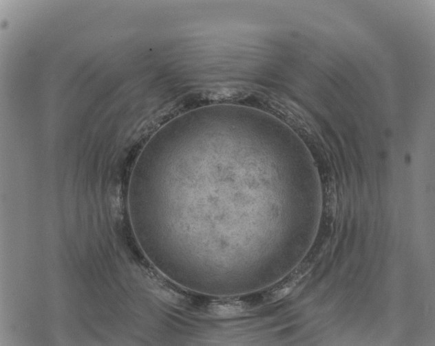 X0000074340510200609011631