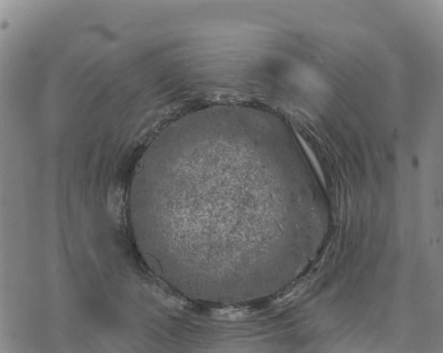 X0000074340511200609011631