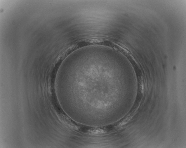 X0000074340512200609011631