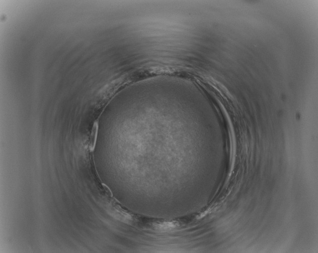 X0000074340513200609011631