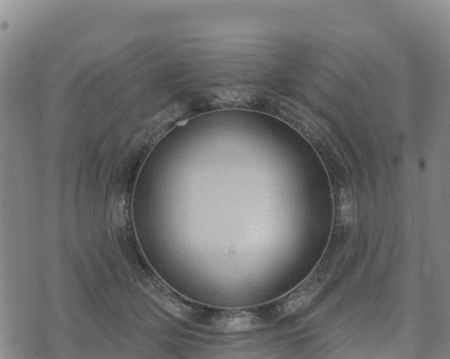 X0000074340514200609011631