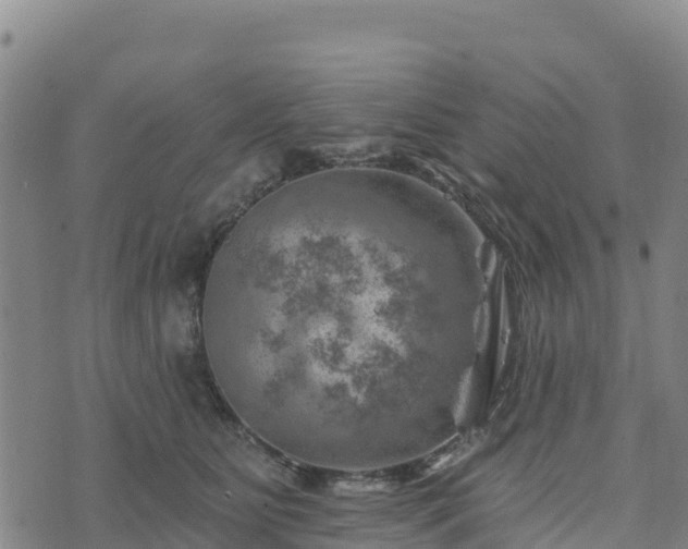 X0000074340515200609011631