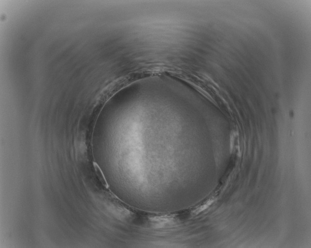 X0000074340516200609011631