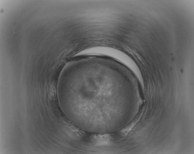 X0000074340517200609011631