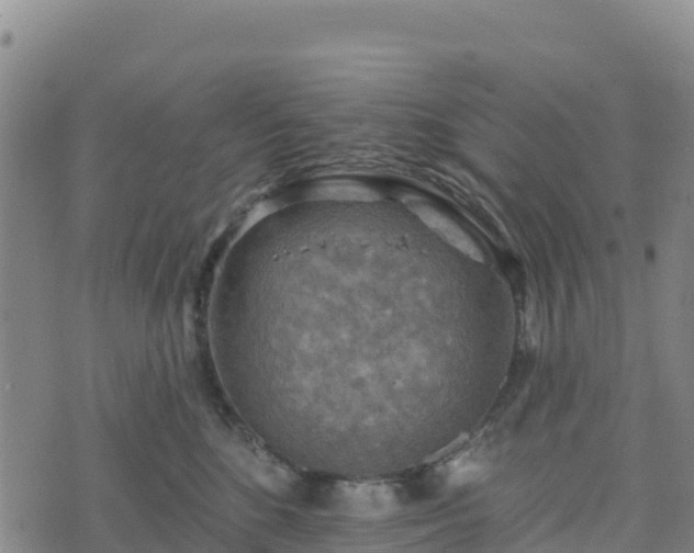 X0000074340520200609011631